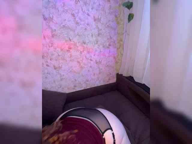 Harita webcam
