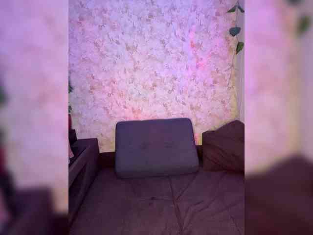 Harita webcam