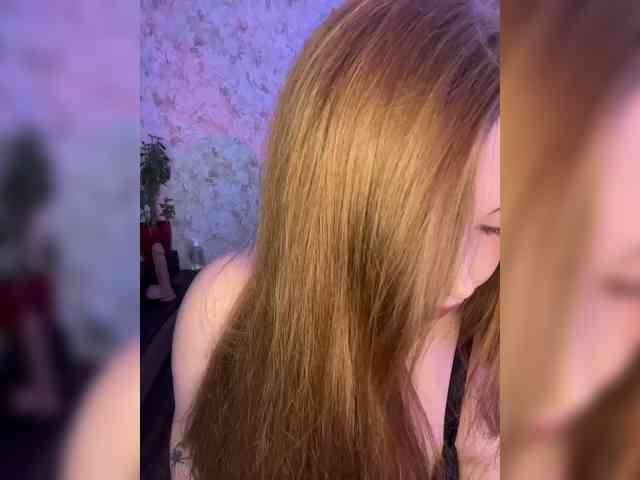 Harita webcam
