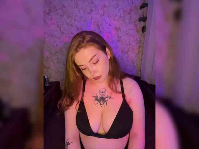 Harita webcam