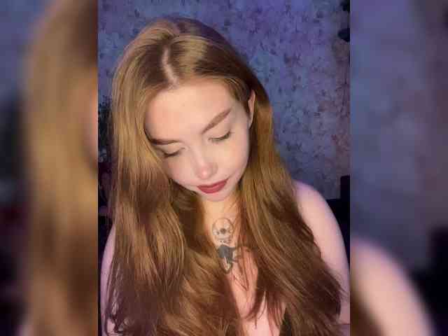 Harita webcam