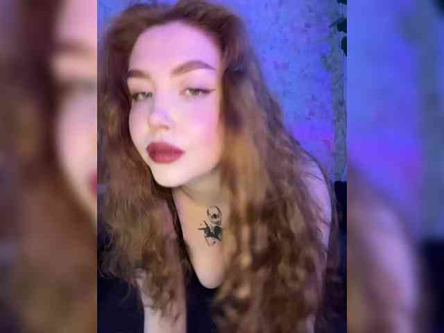 Harita webcam