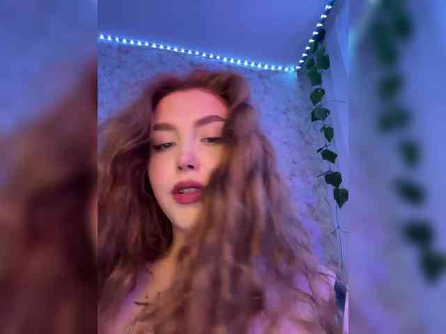 Harita webcam