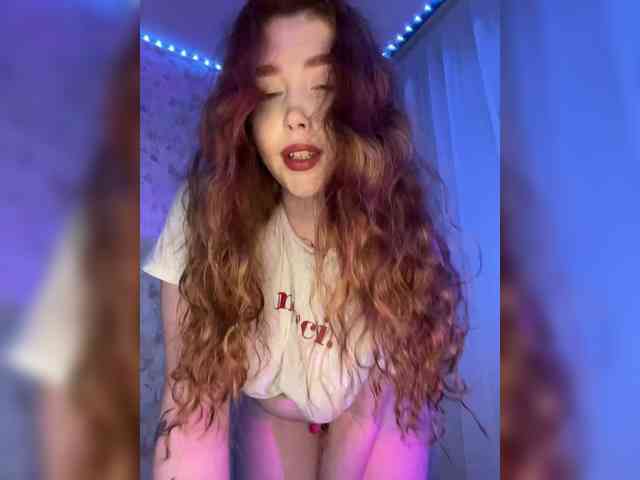 Harita webcam