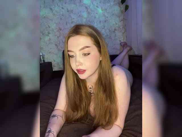 Harita webcam