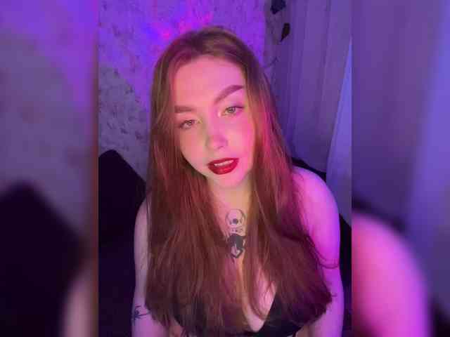 Harita webcam