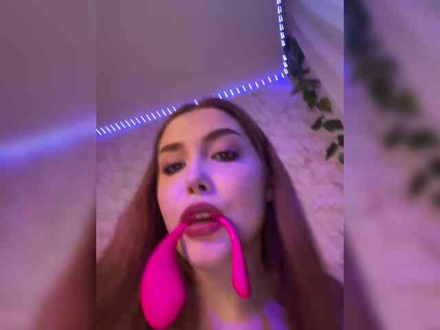 Harita webcam