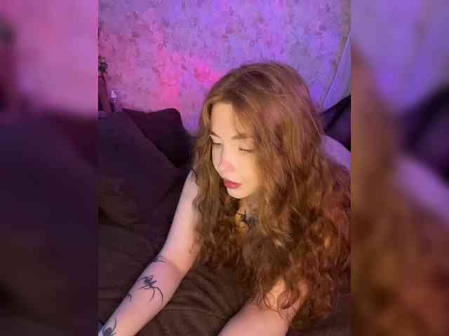 Harita webcam