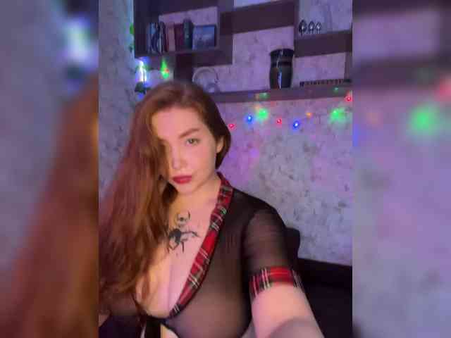 Harita webcam