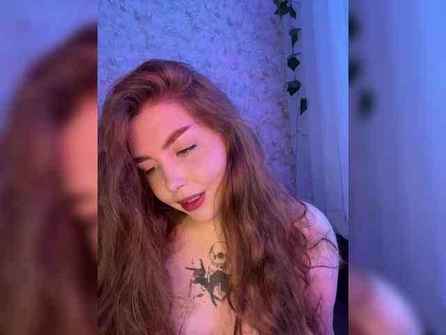 Harita webcam
