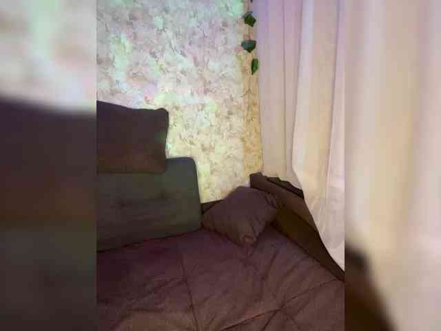 Harita webcam