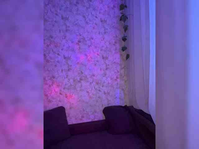 Harita webcam
