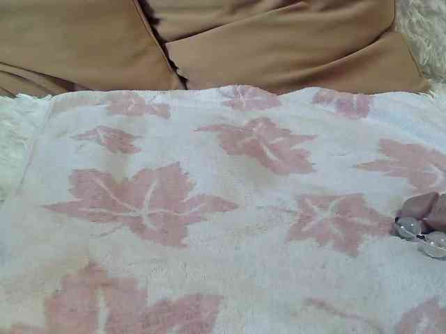 Yana3100 webcam