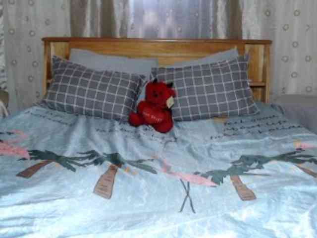 Hamour Live Webcam on BongaCams