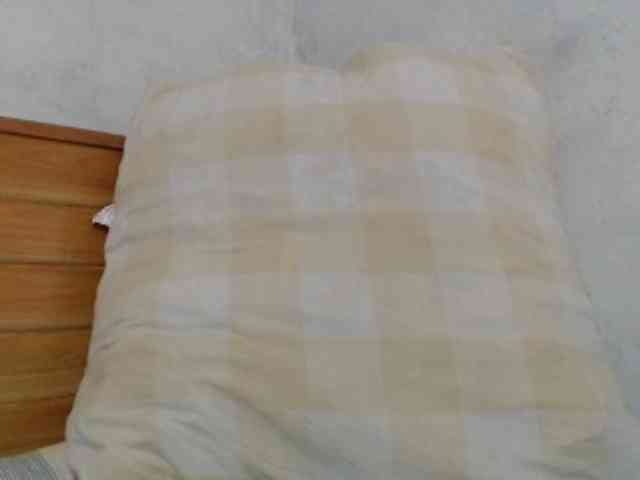 Hamour webcam