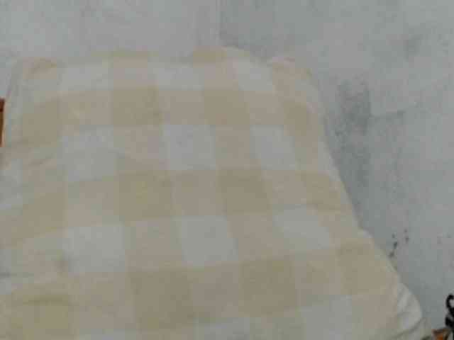 Hamour webcam