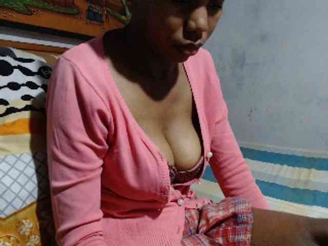 Hamour webcam