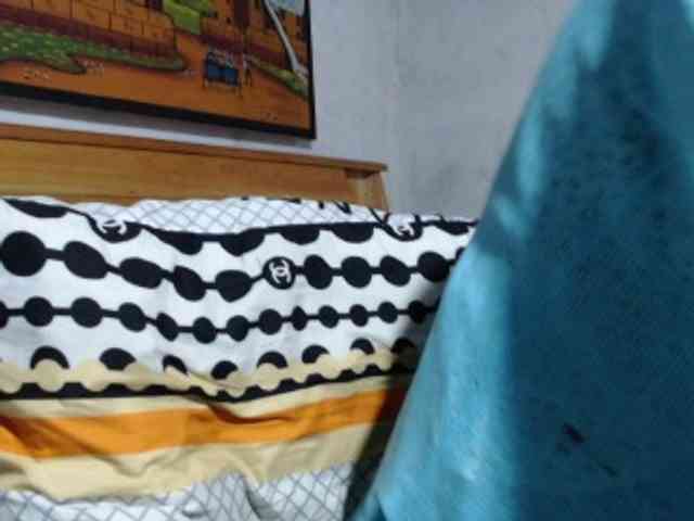 Hamour webcam