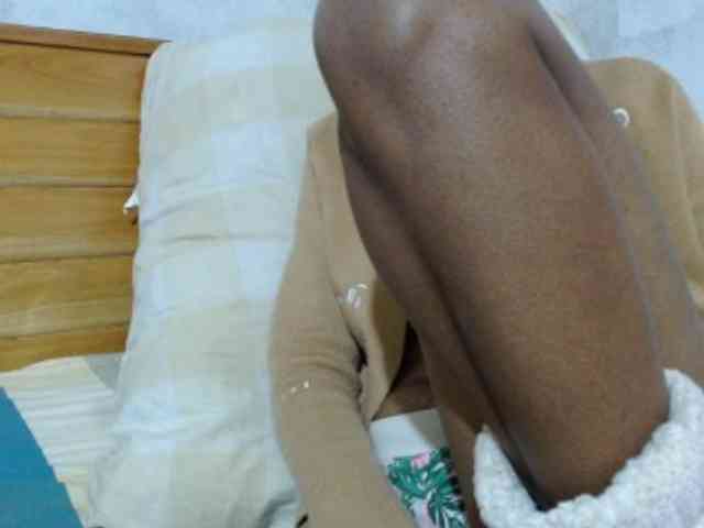 Hamour webcam
