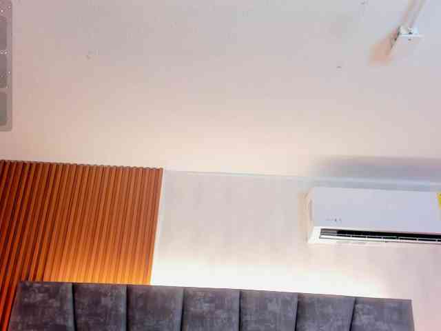 Ada-lee webcam