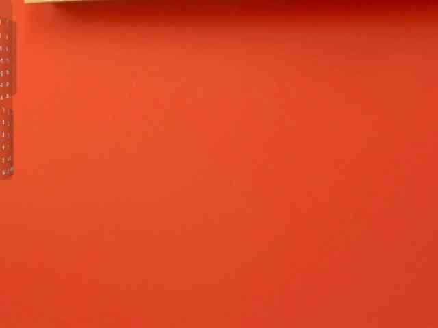 Ada-lee webcam