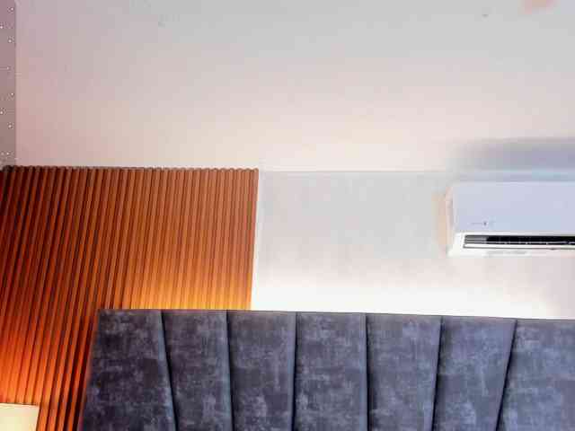 Ada-lee webcam