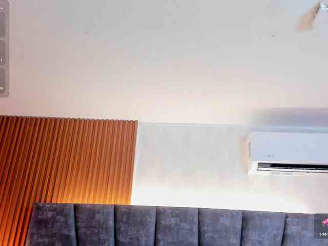 Ada-lee webcam