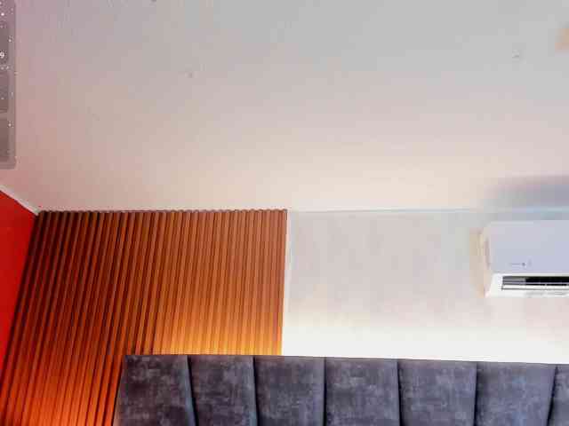 Ada-lee webcam