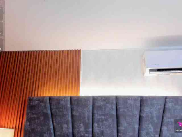 Ada-lee webcam