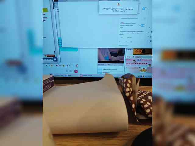 DonnaMagdalena webcam