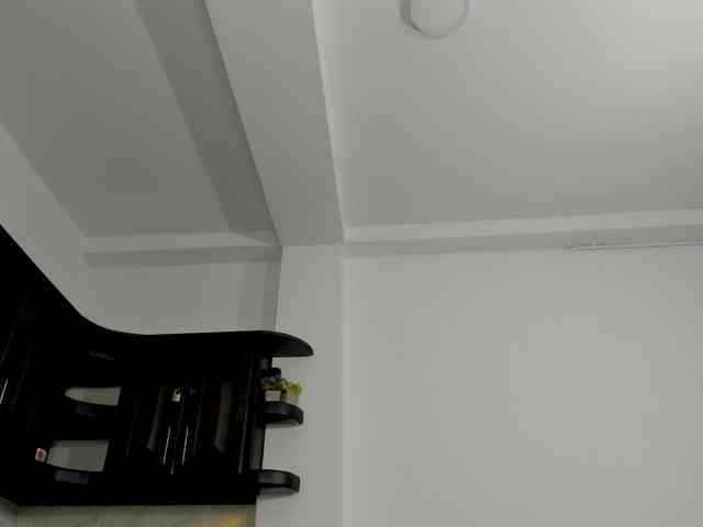 Heicel- webcam