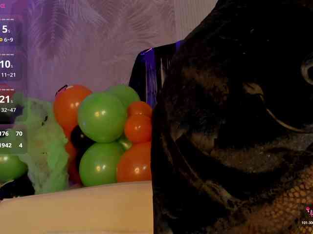 Heicel- webcam