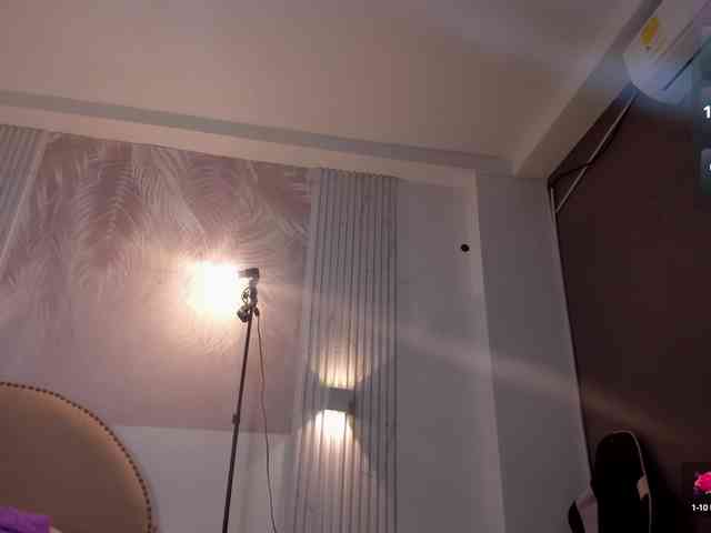 Heicel- webcam