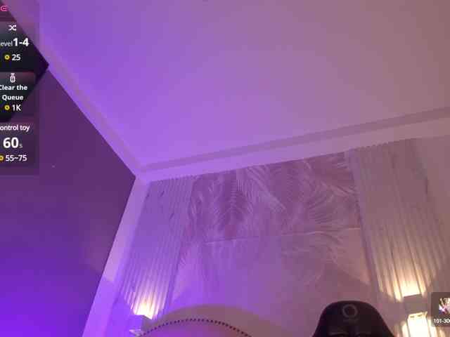 Heicel- webcam