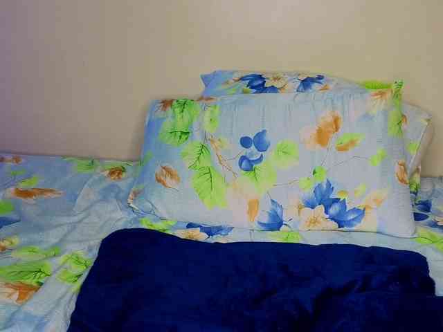 Queen-sasha webcam