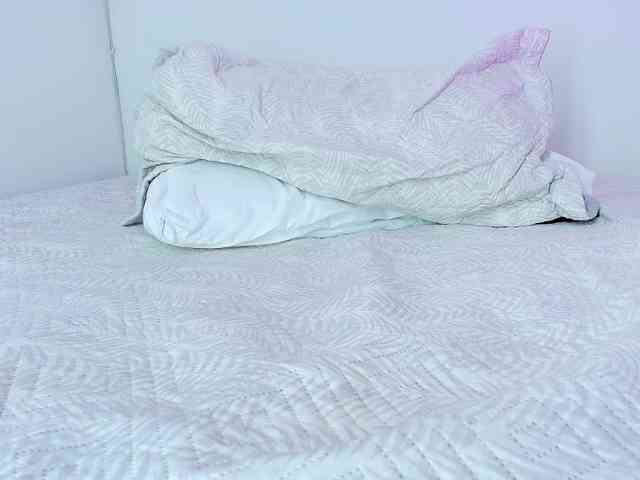 Felicity111 Felicity111