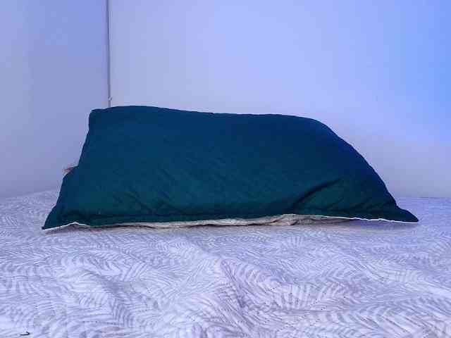 Felicity111 Felicity111