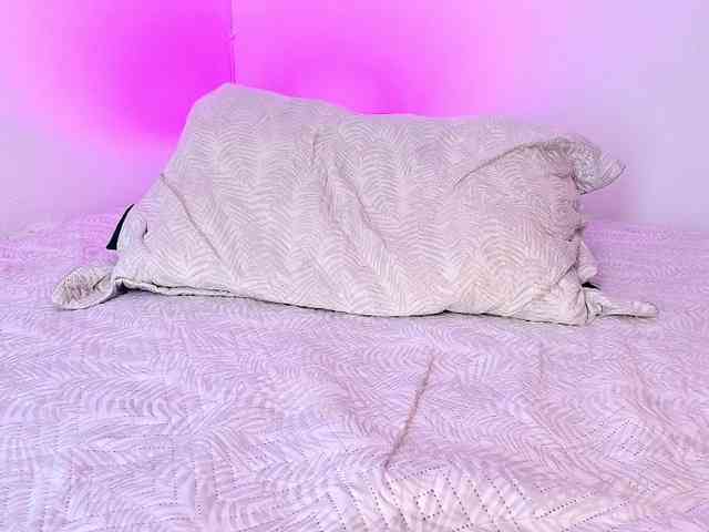 Felicity111 Felicity111