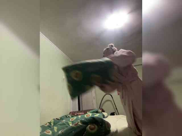 Saveta webcam