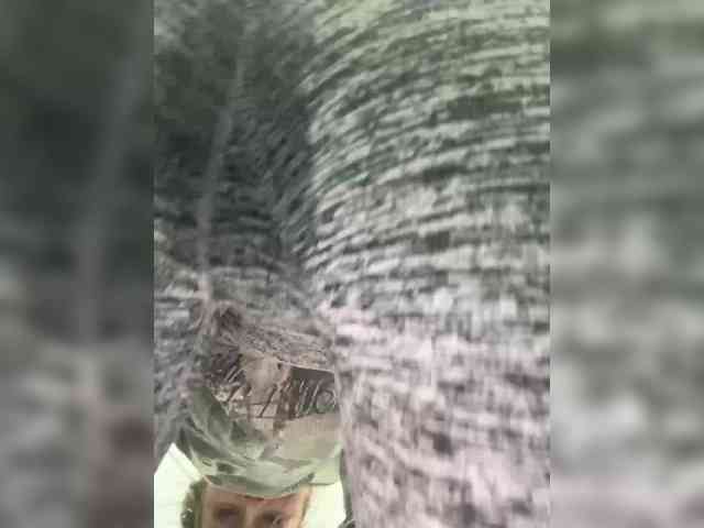 Saveta webcam