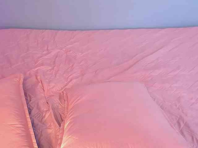 JasmineCampbell webcam