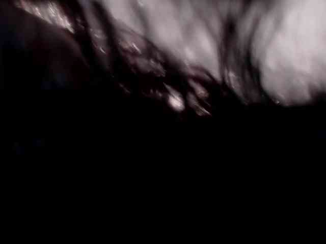 JasmineCampbell webcam