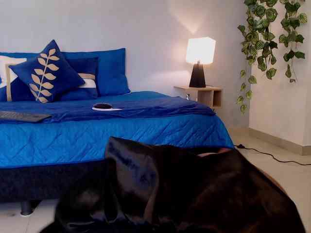 JasmineCampbell webcam
