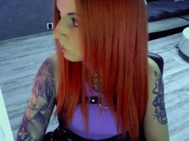 Preview of inesmodel