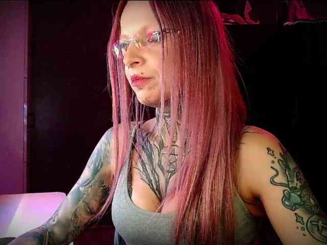 InesModel webcam