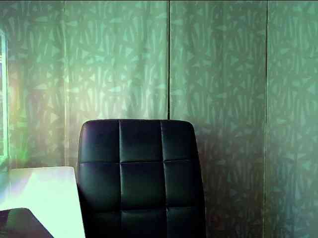 InesModel webcam