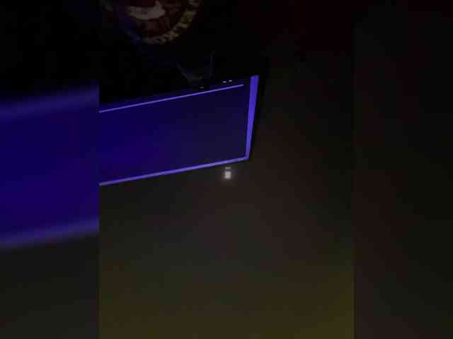 Kot-i-Koshkaa webcam