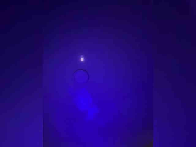 Kot-i-Koshkaa webcam