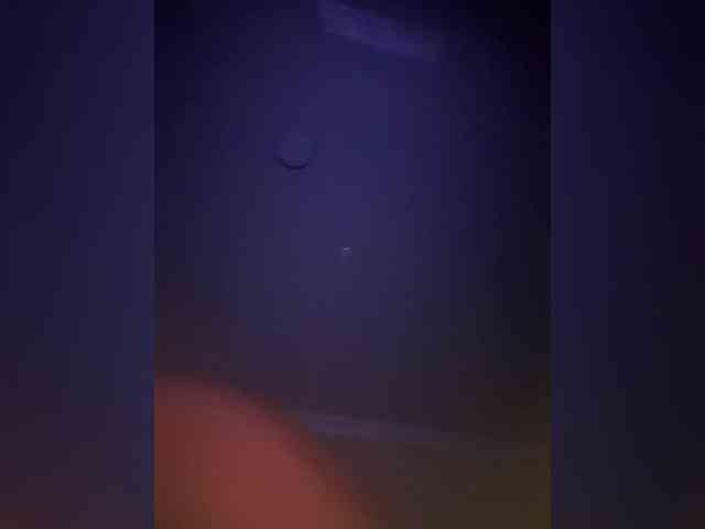 Kot-i-Koshkaa webcam