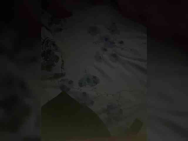 Kot-i-Koshkaa Live Webcam on BongaCams